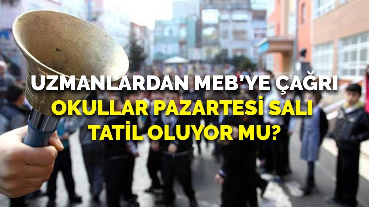 Okullar 2 gün daha tatil oluyor mu? Beklenen kar fırtınası öncesi uzmanlardan Milli Eğitim'e çağrı