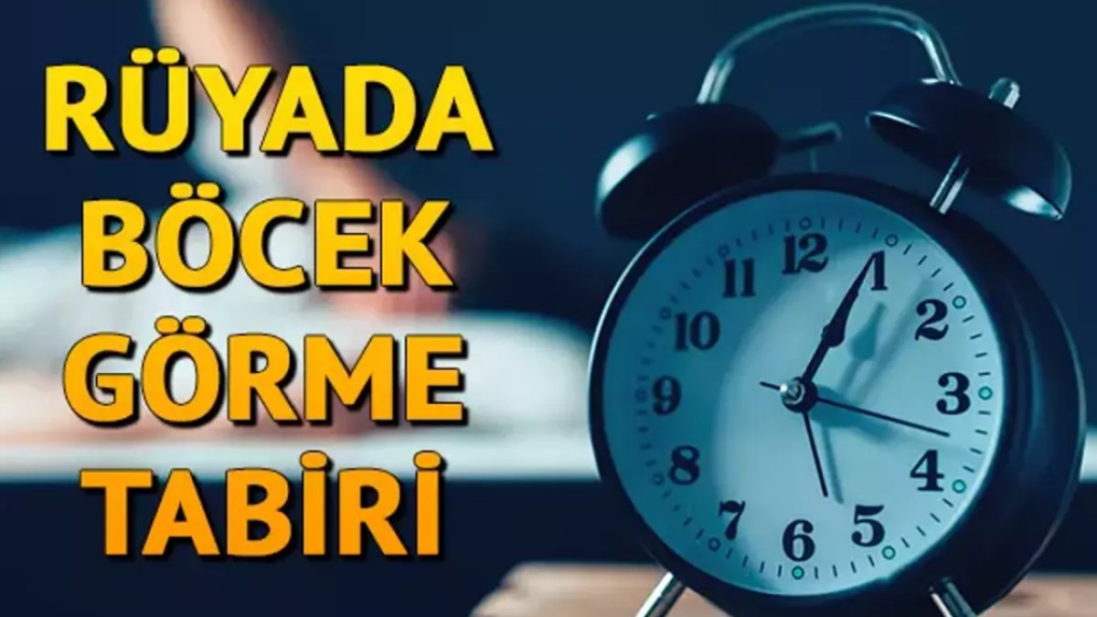 Rüyada Böcek Görmek: Anlamı ve İşaretleri