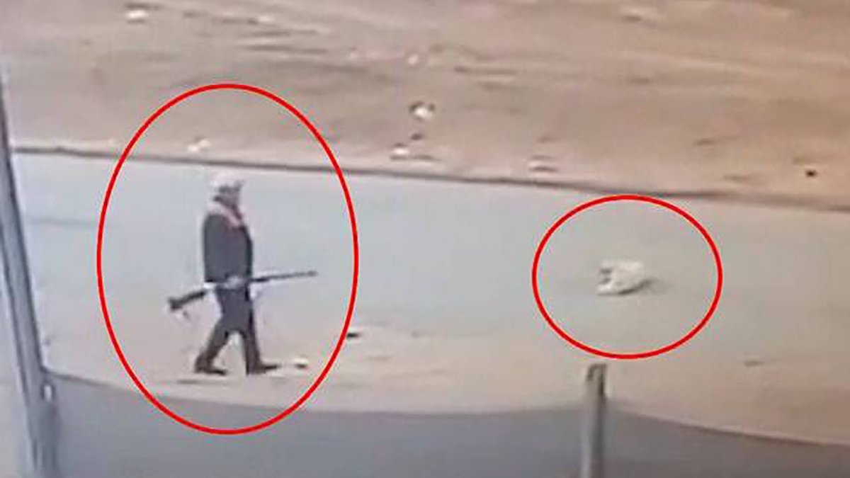 Canı istedi, hedef aldı, öldürdü... Köpek katili serbest kaldı!