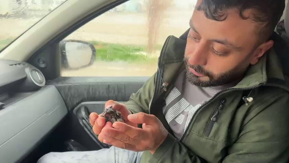 Habere giden gazeteci minik serçeyi kurtardı