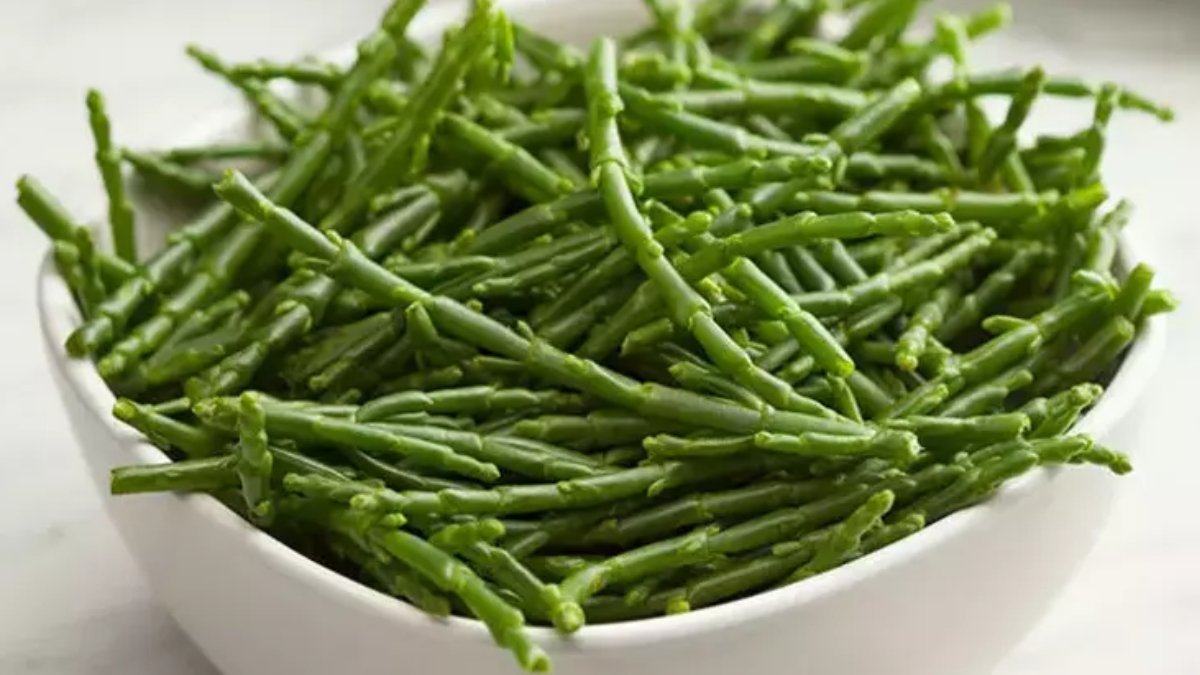 Deniz börülcesi faydaları