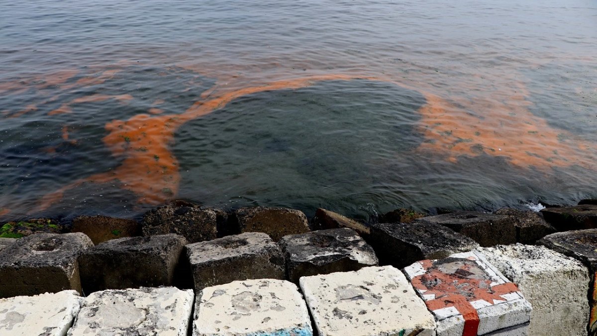 Marmara Denizi üçe bölündü! Erol Kesici'den panikleyecek felaket açıklaması: "Derhal seferberlik başlatılmalı"