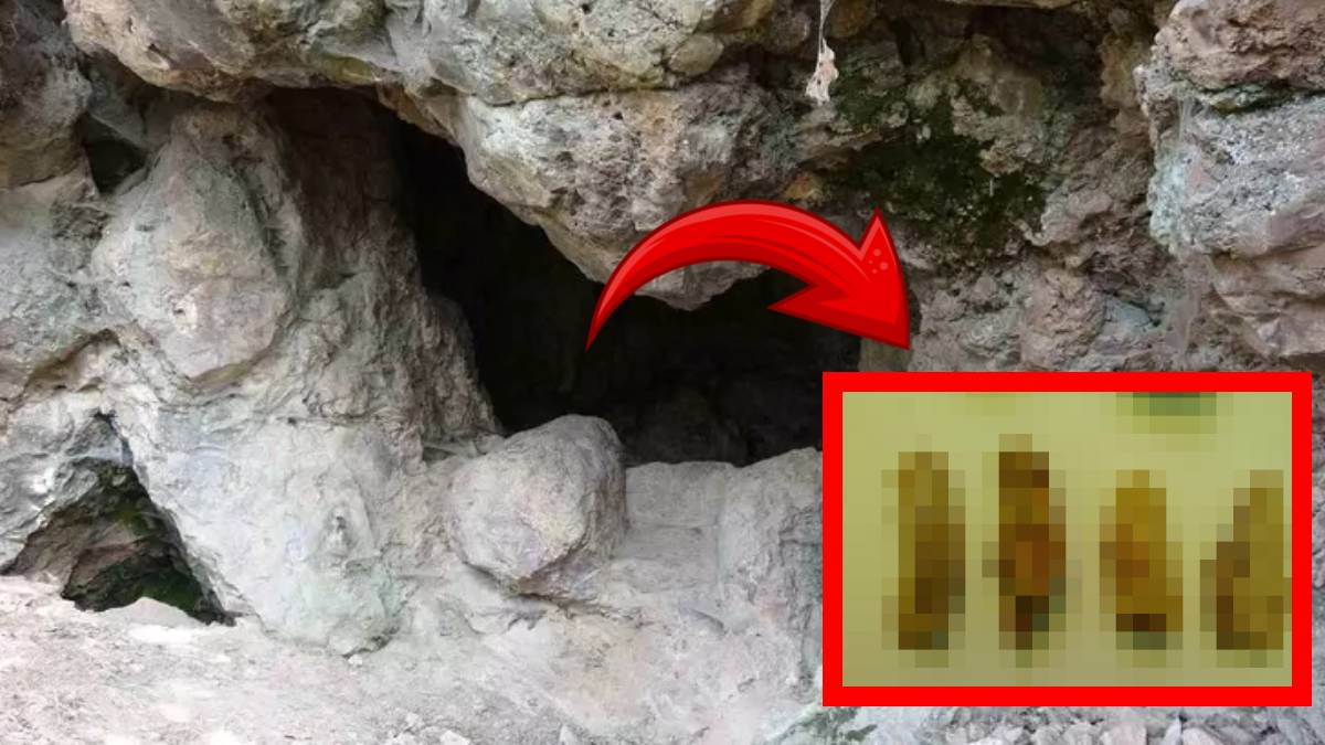 Mağara değil resmen altın madeni! 86 bin yıllık mağaranın el değmemiş yerlerinde bulundu: Sayısı 20 bine ulaştı