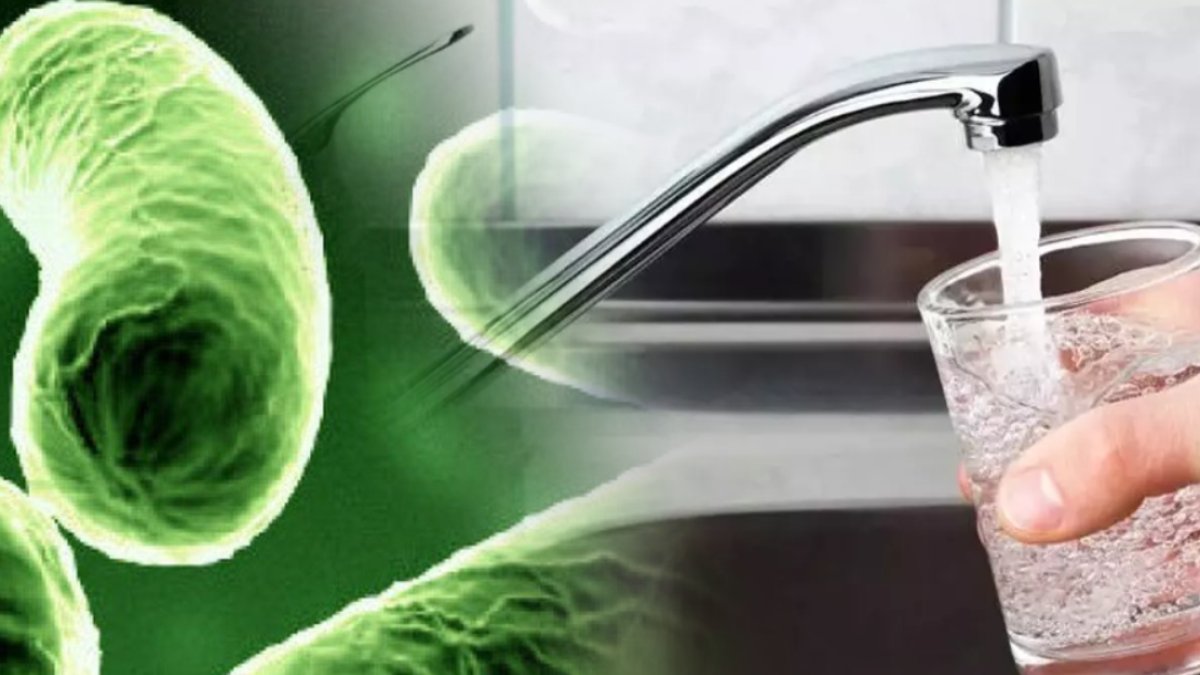 Musluk suyunda "Legionella bakterisi" uyarısı! Sakin bir yudum bile içmeyin: Ölümcül sonuçlara neden oluyor