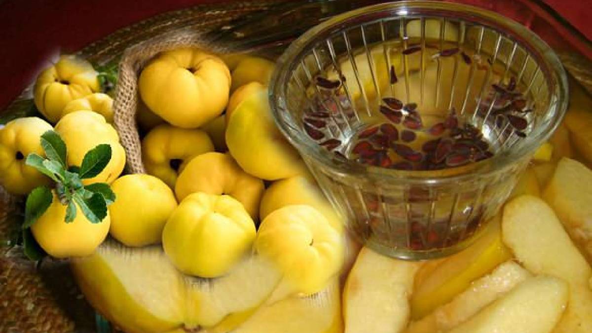 Ayva çekirdeklerini sakın atmayın! Bağışıklığı güçlendiriyor, cilde iyi geliyor: Bu jel yöntemiyle mucizeler yaratacaksınız