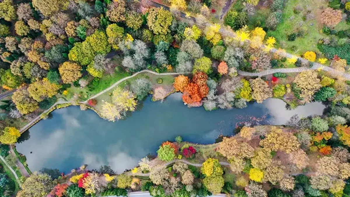 İstanbul'un göbeğinde doğa harikası! Birçok İstanbullunun buradan haberi bile yok! Giden büyüleniyor