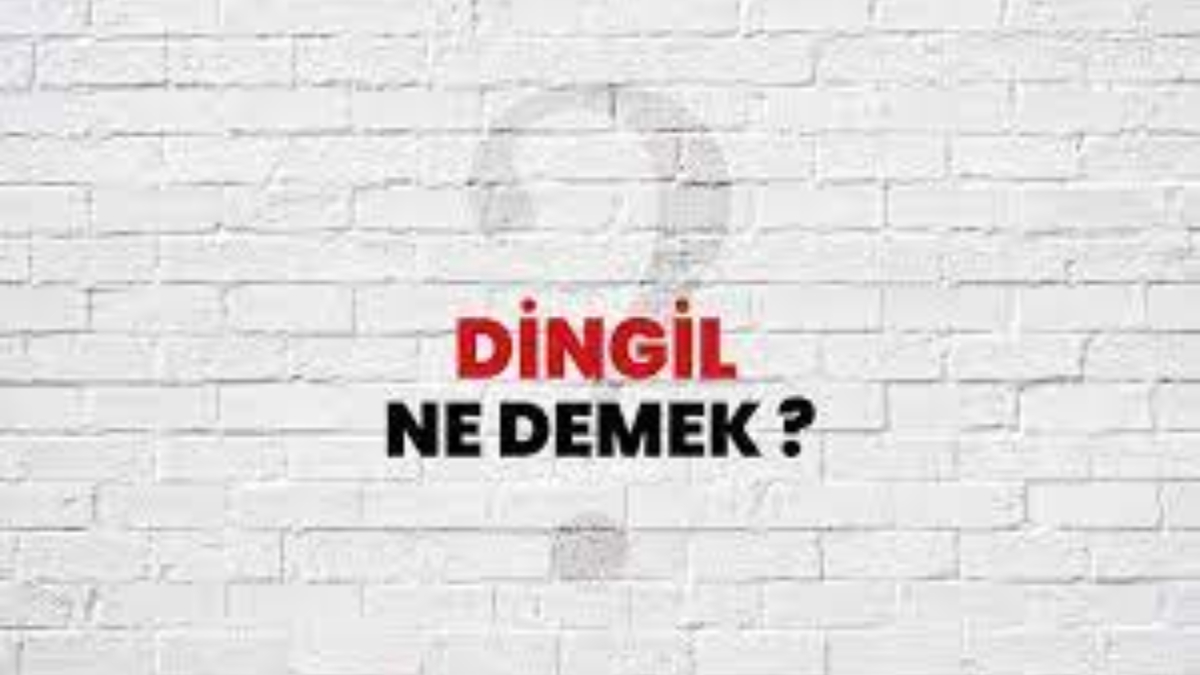 Dingil ne demek?