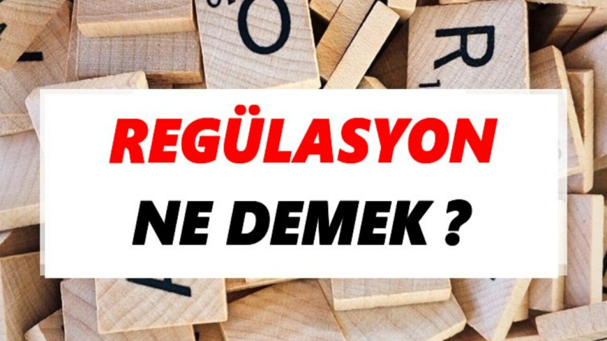 Regülasyon Nedir: Türkiye'de ve Dünya Genelinde Düzenlemelerin Önemi