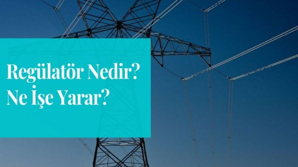 Regülatör Nedir? Türkiye'de Regülasyonun Önemi