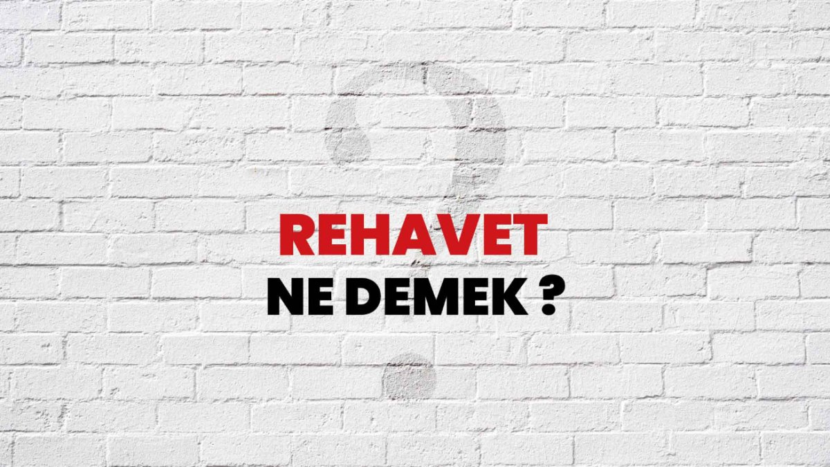 Rehavet Nedir?