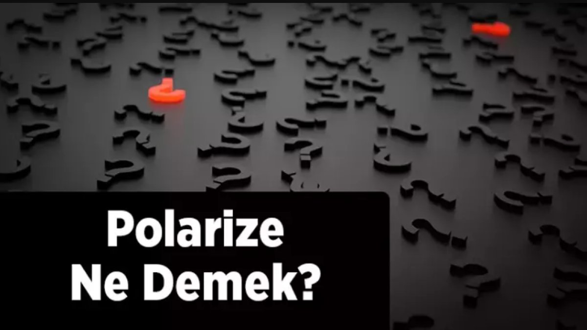 Polarize Ne Demek?