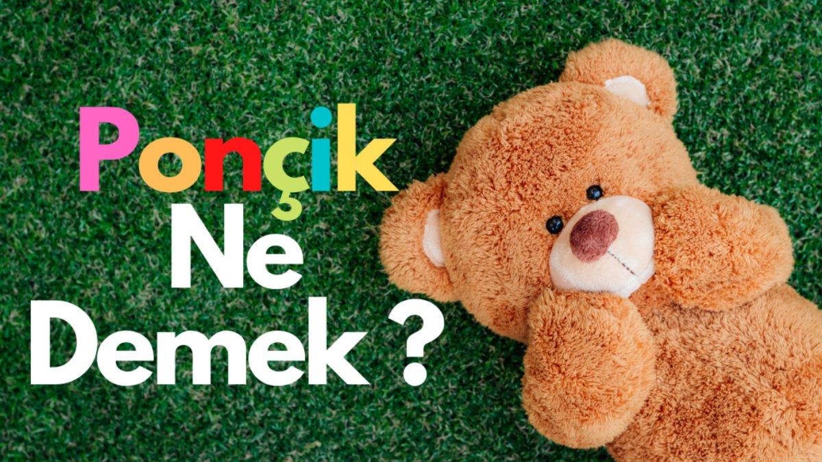 Ponçik Ne Demek? Türkçede Sıkça Kullanılan Bir Terim