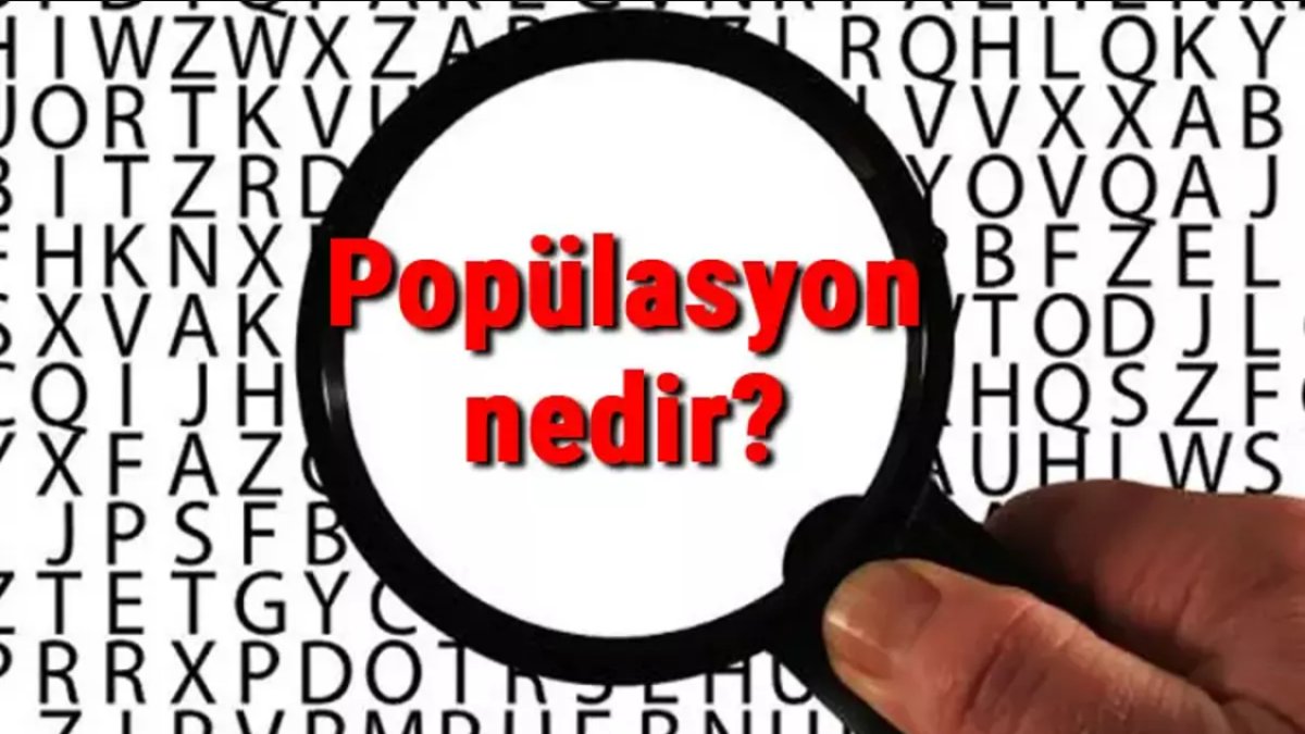 Popülasyon Nedir?