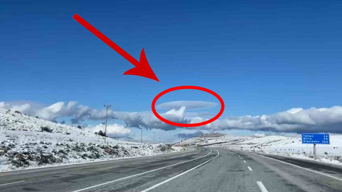 Bitlis’in semalarında şok görüntü! O nadir olayı tüm vatandaşlar hayretle izledi: Böylesini ilk defa göreceksiniz