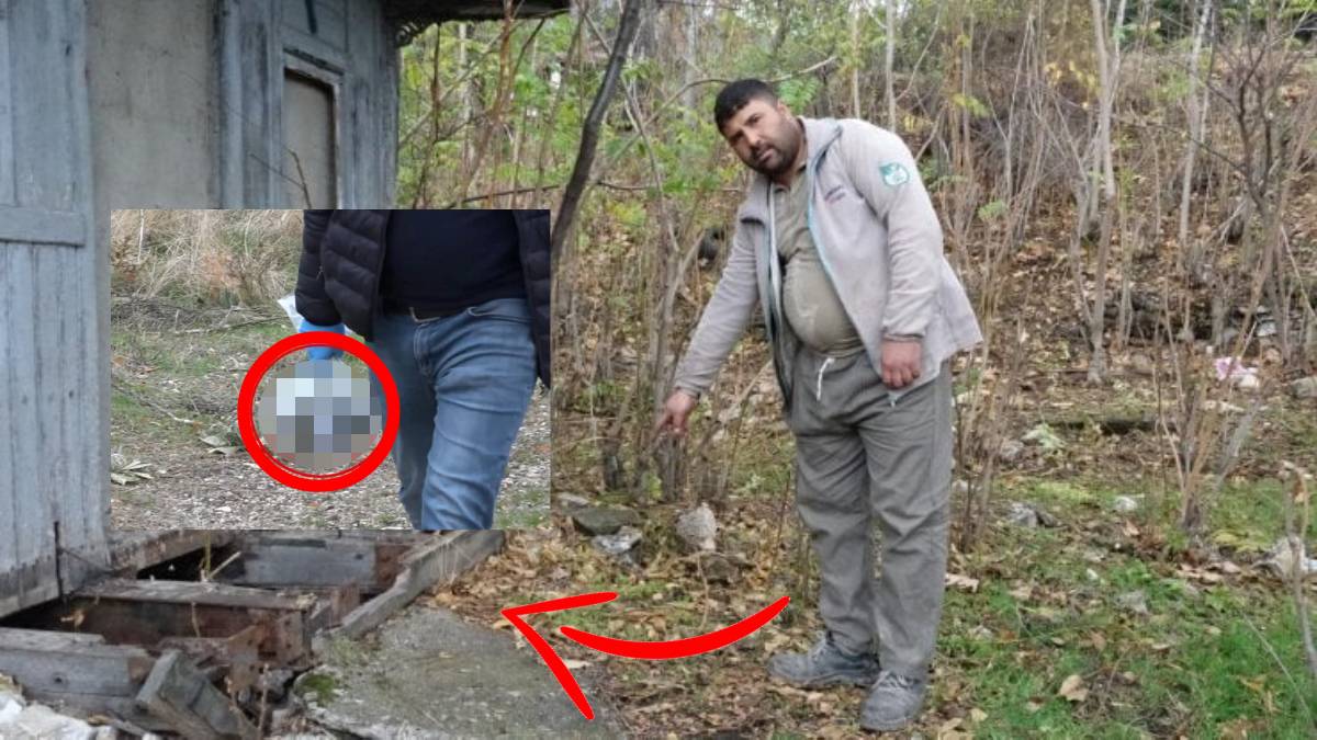 Ormanda tuvaletini yaparken bulduğu şey şok etti! Poşete tekme atınca ortaya çıktı: Onlarca polis akın akın ormana koştu