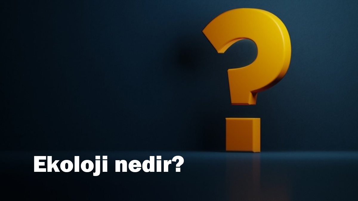 Ekoloji nedir?
