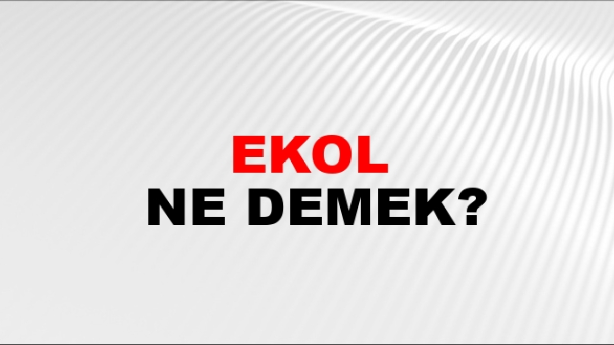 Ekol ne demek?
