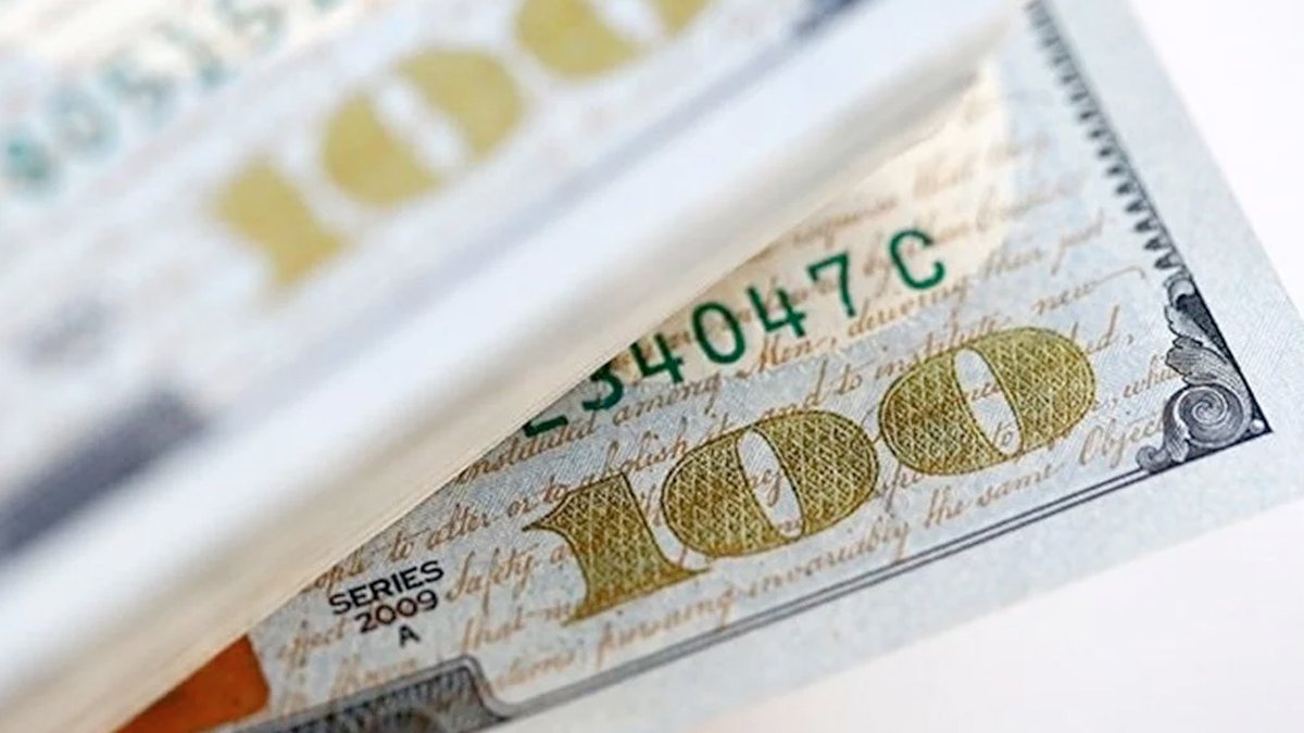 Merkez Bankası rezervleri 9 yılın zirvesinde