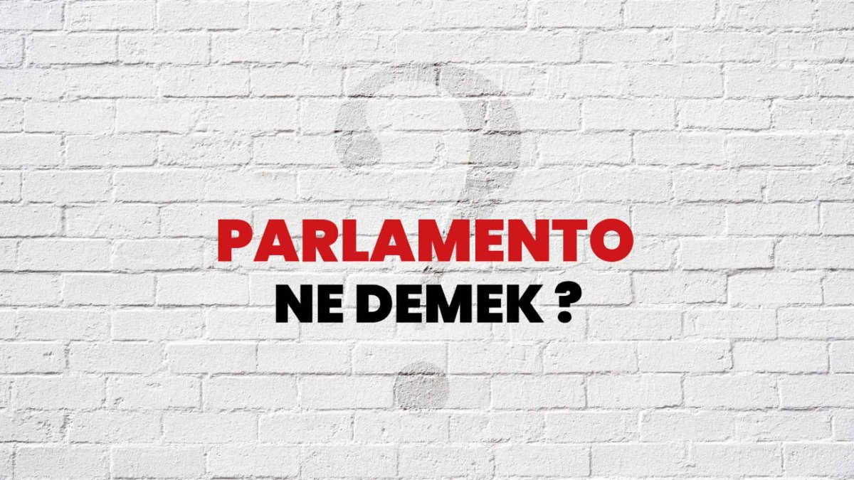 Parlamento Nedir: Türkiye'de ve Dünyada Temel Bilgiler