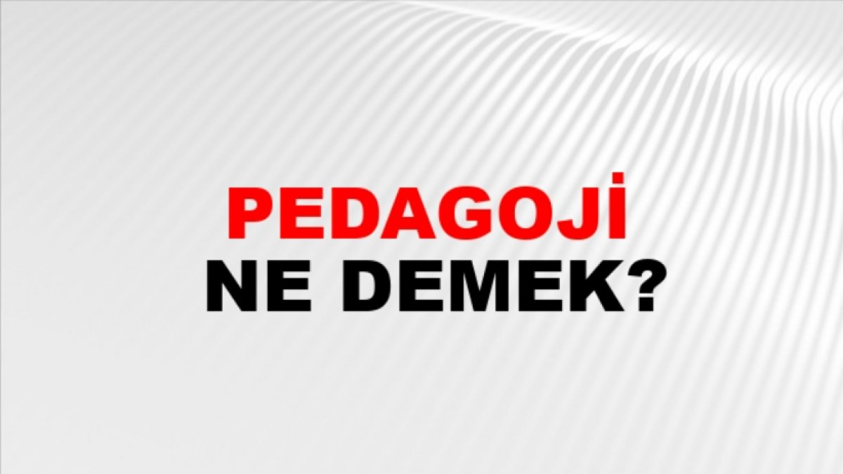 Pedagoji Nedir: Eğitimde Temel İlkeler ve Yaklaşımlar