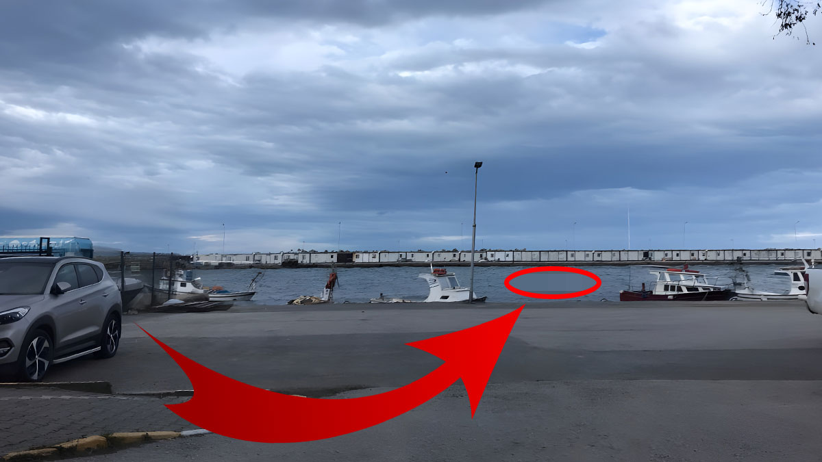 Denizde bir anda ortaya çıktılar: Görenler telefona sarıldı! O ilimizde böylesi ilk kez yaşandı