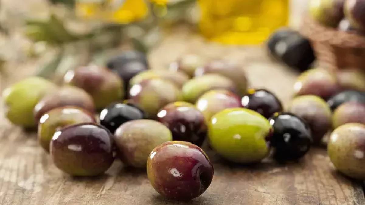 Zeytin yemek de artık hayal oldu! Tanesi 1 liradan satılıyor...O da zengin yiyeceği oldu