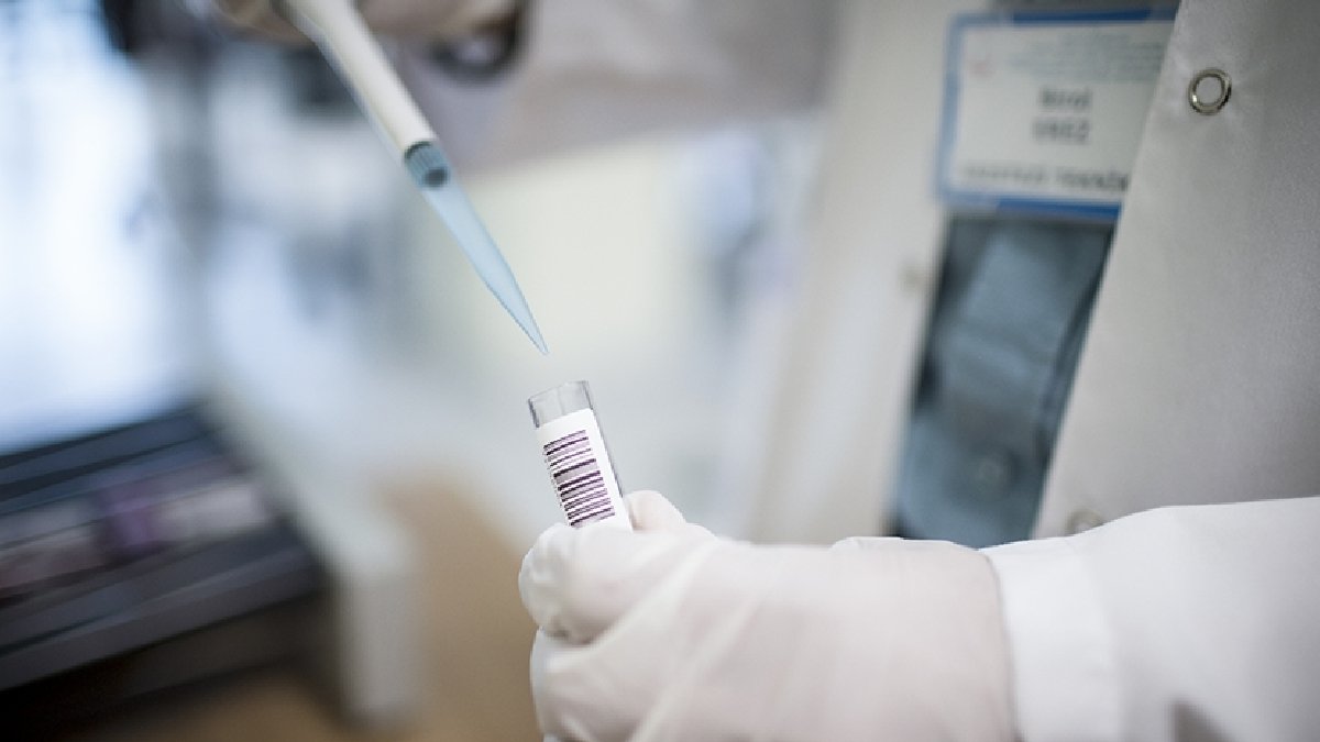 Bir yılda 581 ölü: Maymun çiçeği virüsü Kongo’yu sardı