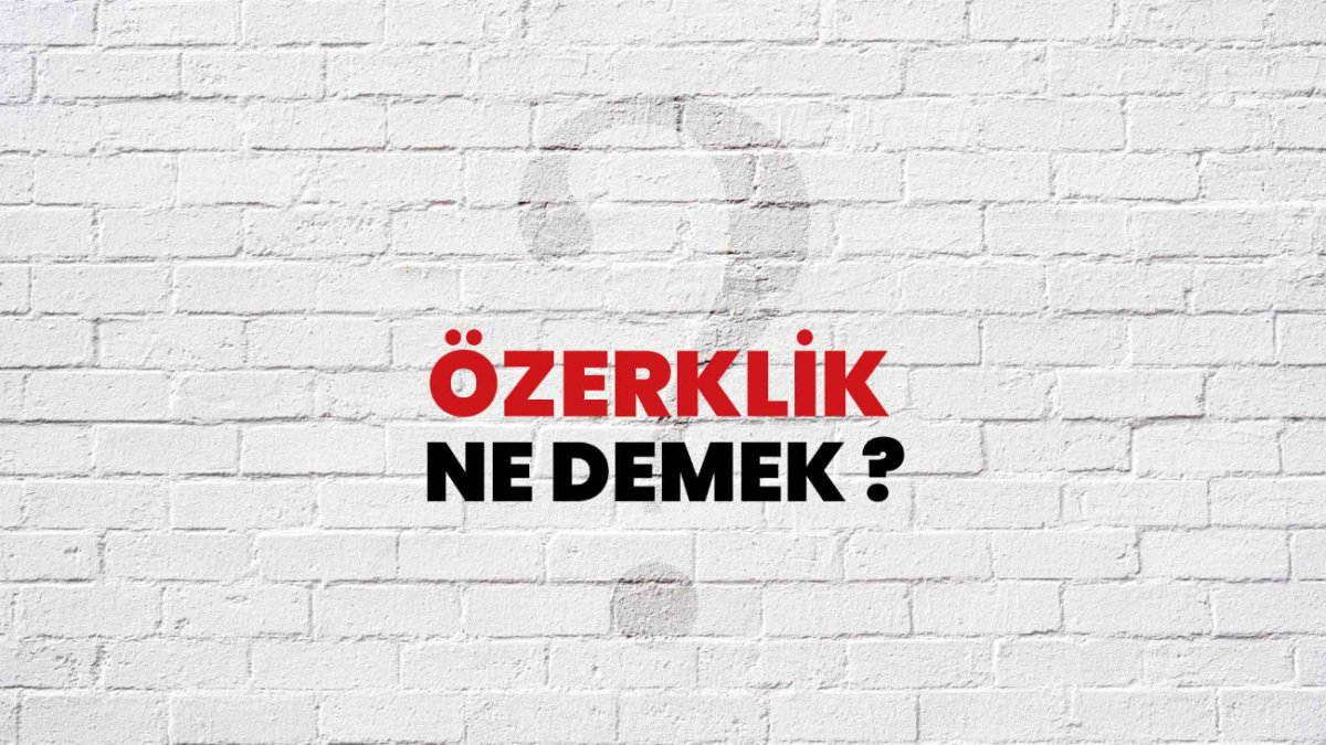 Özerklik Nedir: Anlamı ve Örnekler