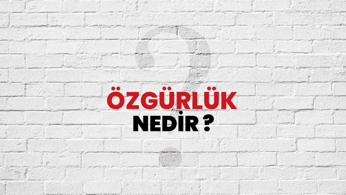 Özgürlük Nedir?