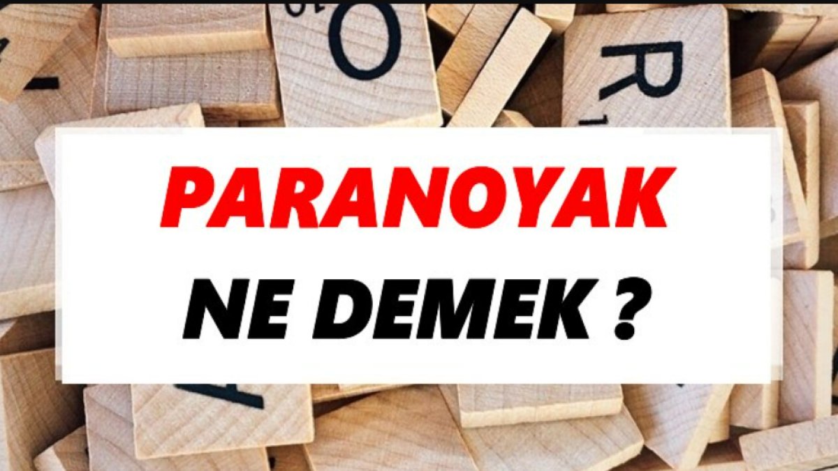 Paranoyak Ne Demek?