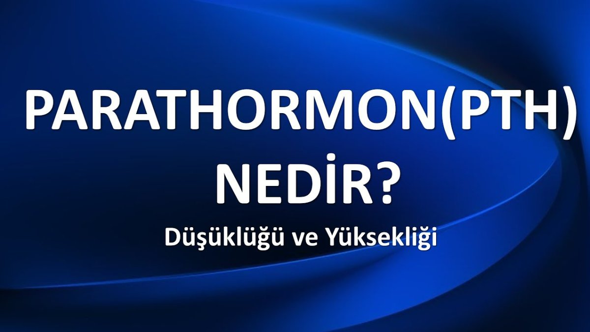 Parathormon Yüksekliği: Kemik Sağlığı Üzerindeki Etkileri ve Tedavisi