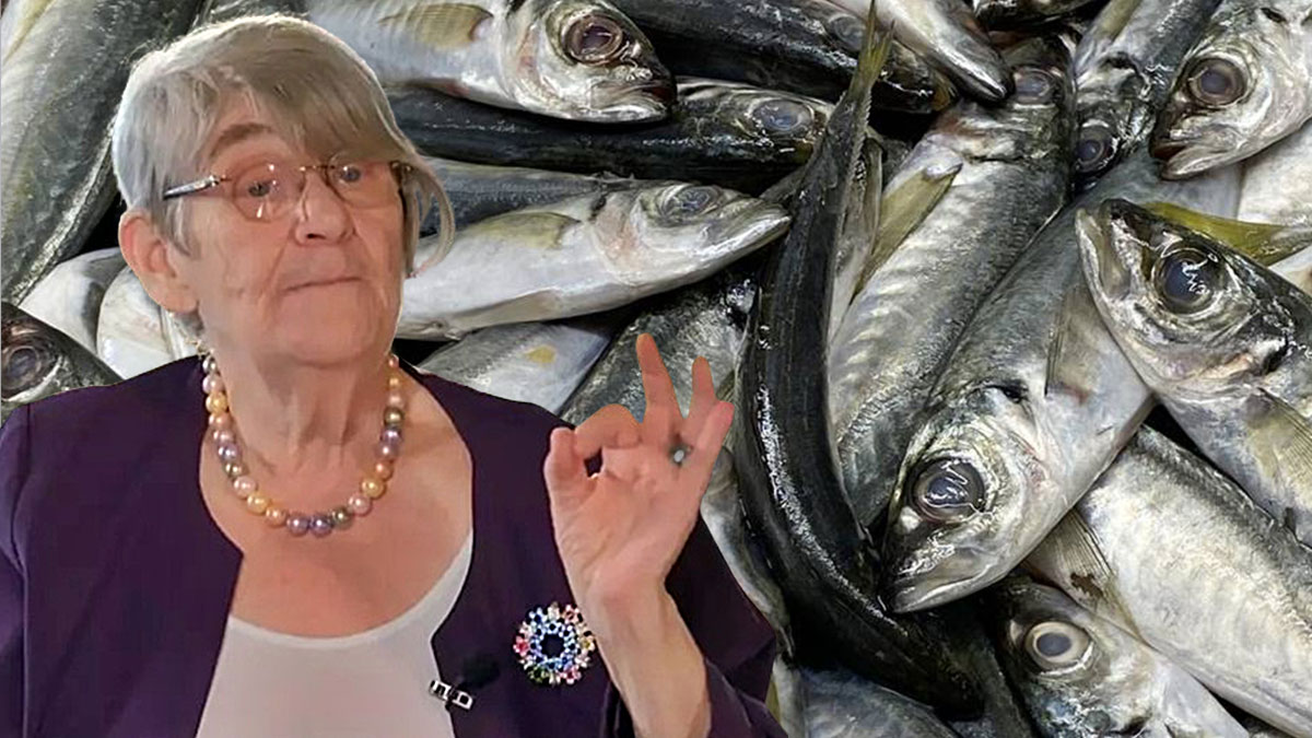 Bayat balığı anlamak meğer bu kadar kolaymış! Prof. Dr. Canan Karatay, püf noktasını açıkladı