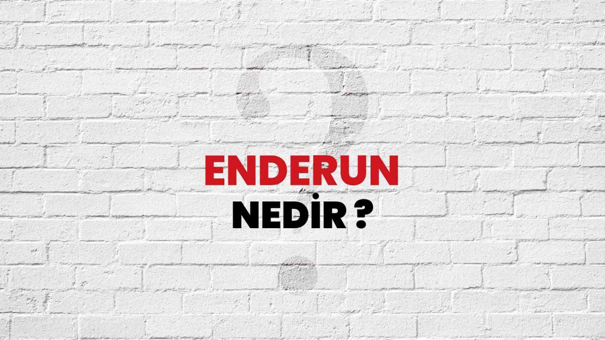 Enderun nedir?