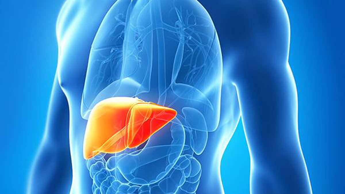 Karaciğer yağlanması nasıl geçer?