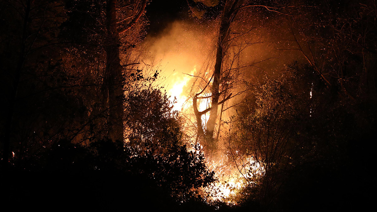 Trabzon'da orman yangını: 100 dönüm alan zarar gördü