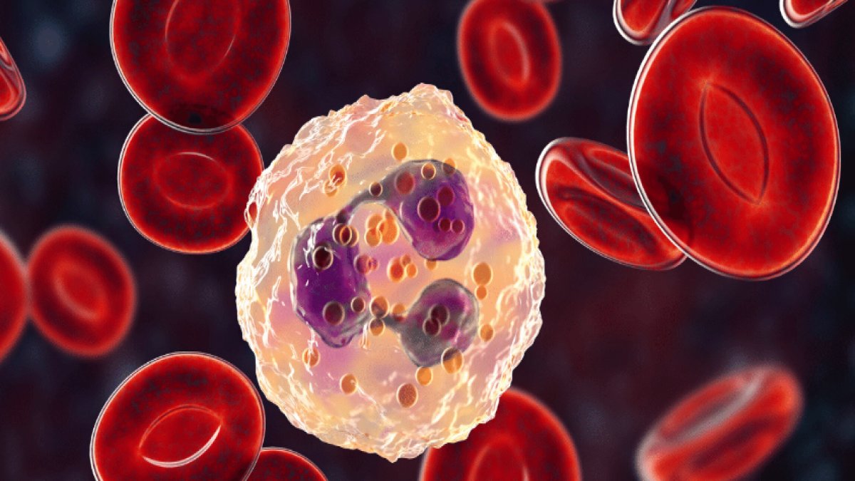 Nötrofil Düşüklüğü: Bağışıklık Sisteminizin Sessiz Tehlikesi