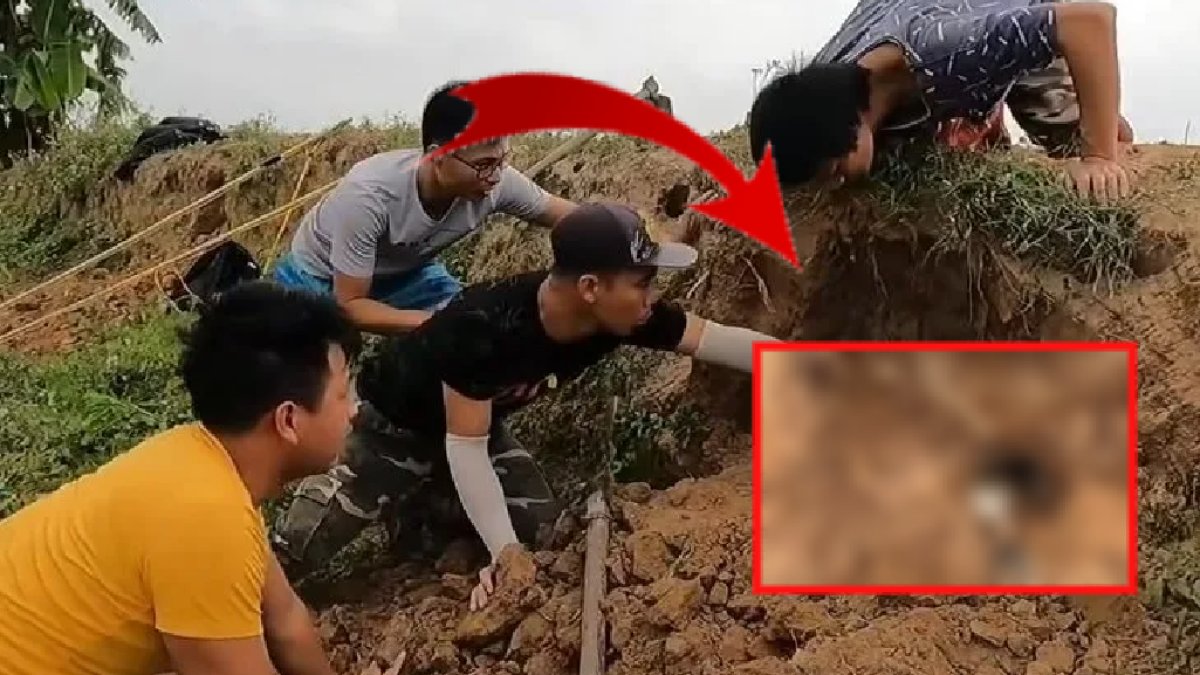 Kazdıkları delikten dev anakonda fırladı! Uzunluğunu görenler dehşeti yaşadı: Tam kış uykusundayken...