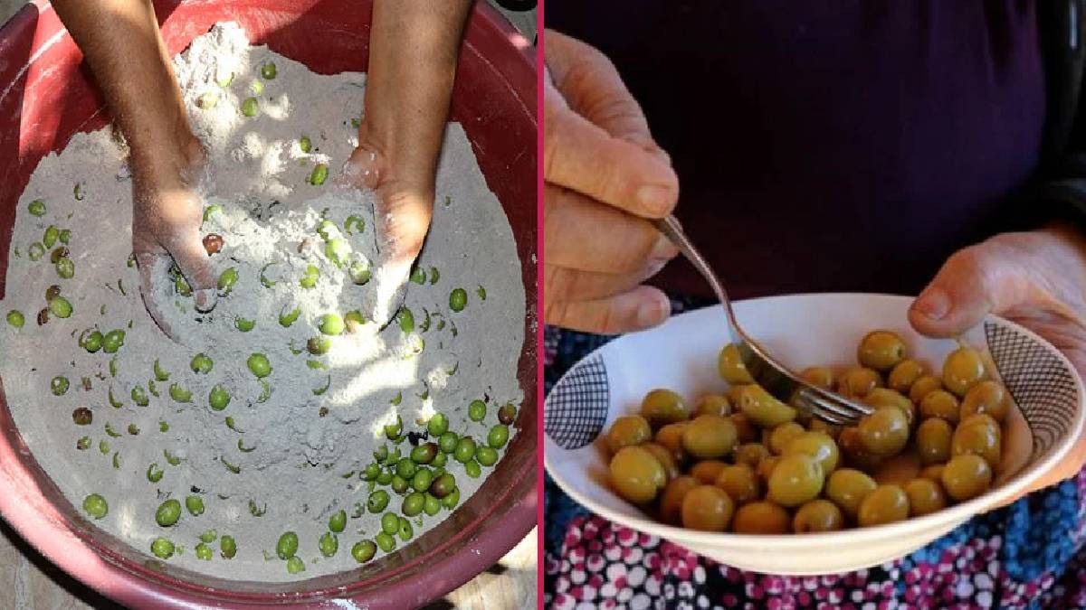 Hataylı kadınların 100 yıllık tarifi! Tadından yenmiyor: Yeşil zeytinin kırmadan bakın nasıl tatlandırıyorlar?