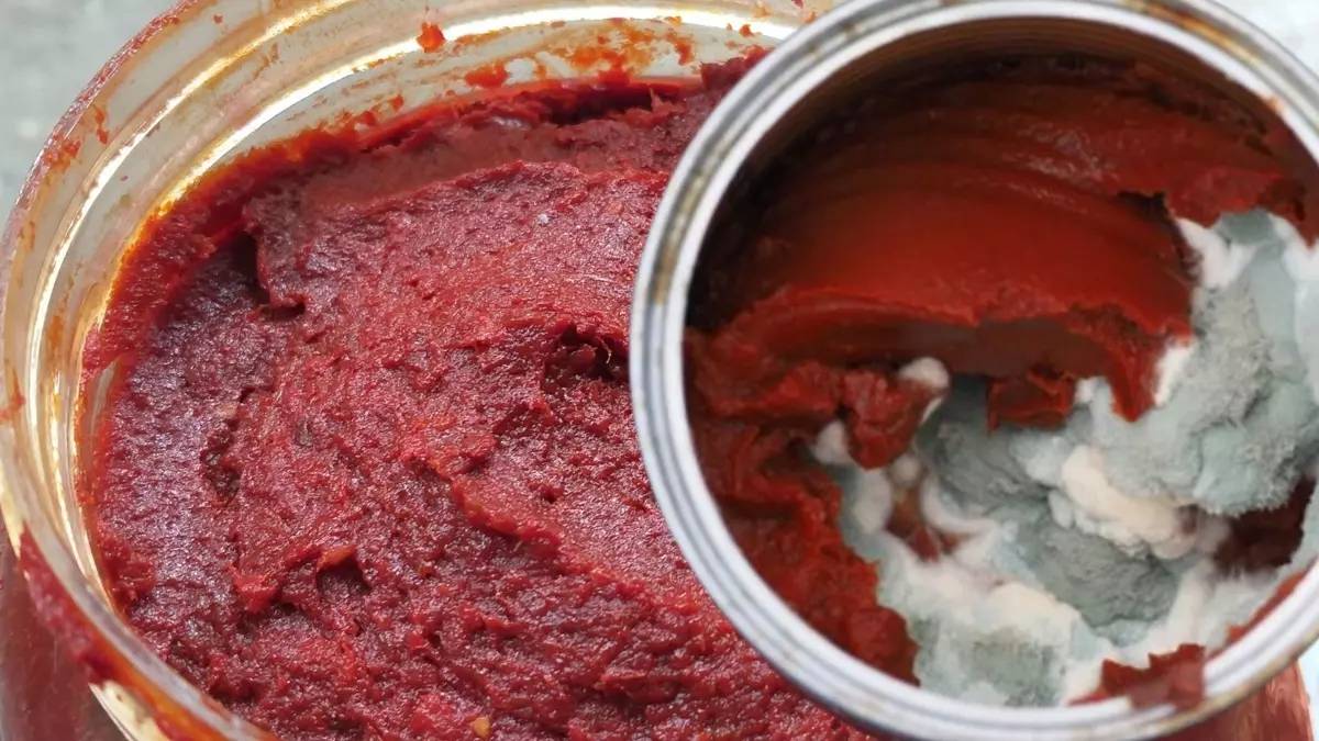 Salçadaki küfü önleyen tek ürün! Sultan Teyze’nin sırrı salçaları kurtarıyor! 3 yıl eve uğramadı salçada bir gram bozulma olmadı