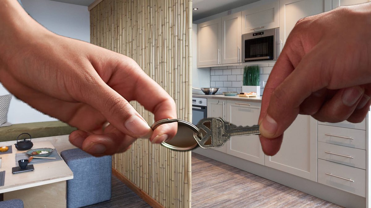 Paylaşımlı ev ilanlarında yüzde 95 artış: Kira krizine 'ev arkadaşlığı' çözümü