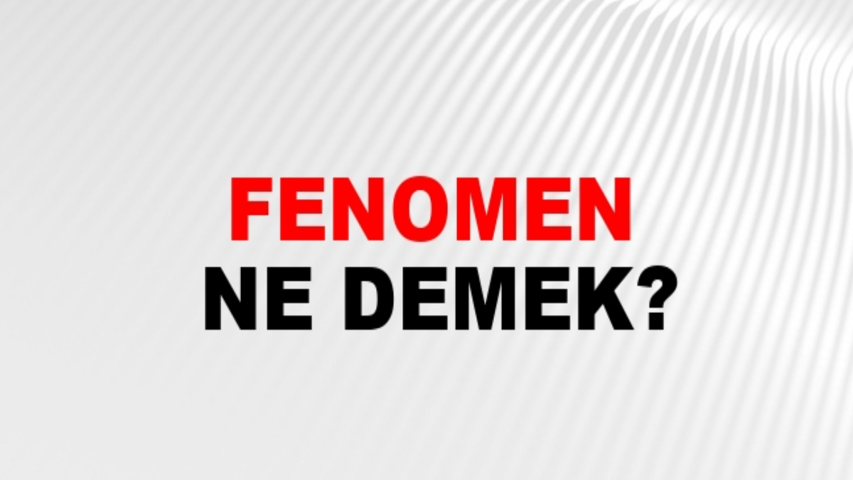 Fenomen ne demek?