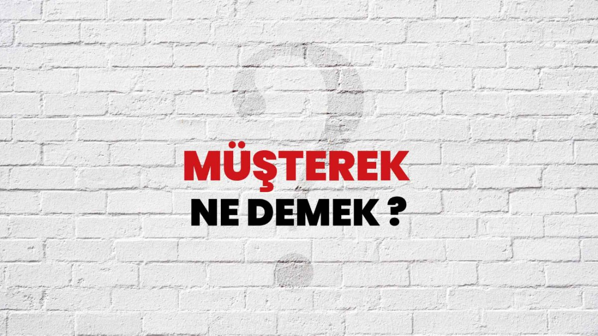 Müşterek Ne Demek: Ortaklık ve Paylaşımın Anlamı