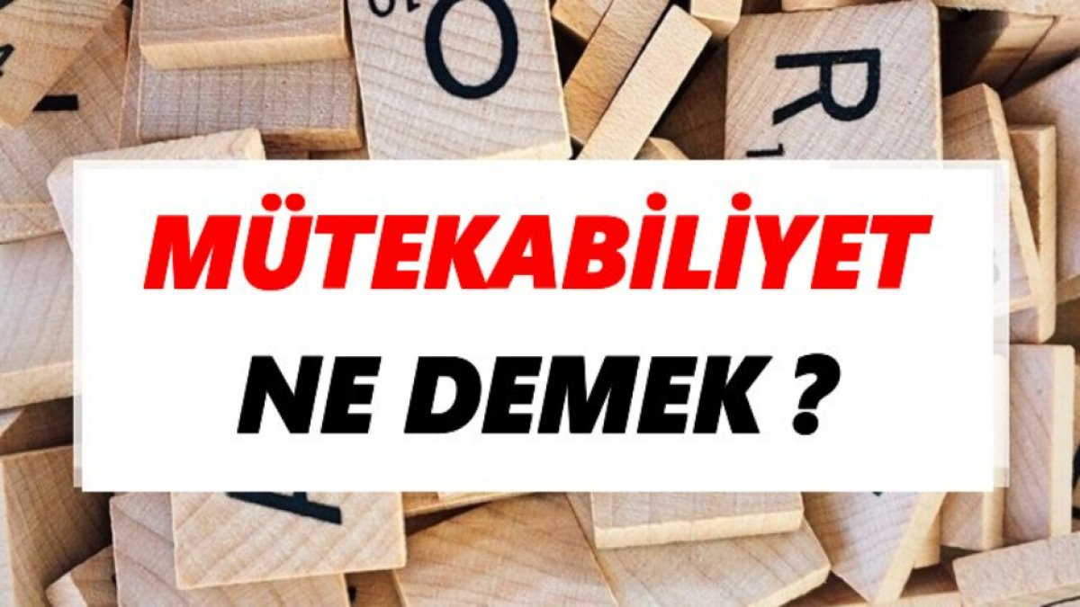 Mütekabiliyet Ne Demek?