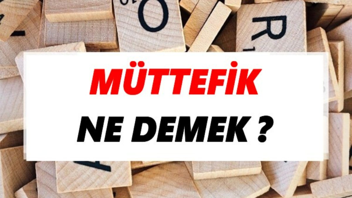 Müttefik Nedir: İşte Ayrıntılı Bir İnceleme