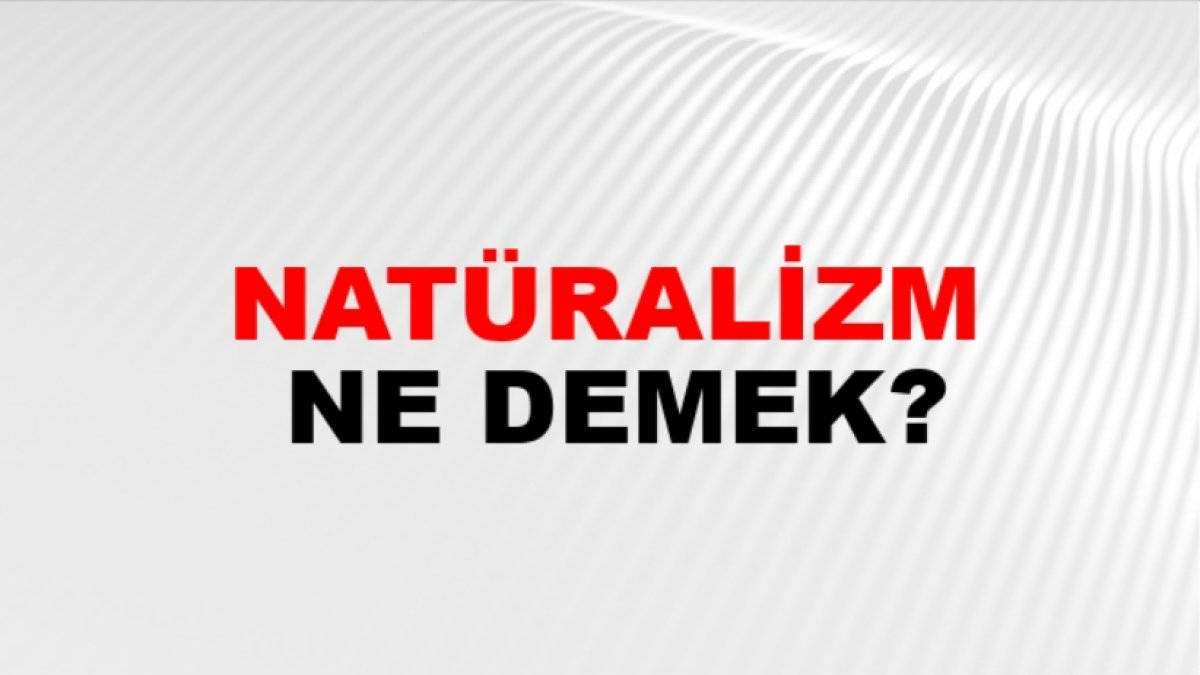 Natüralizm Nedir: Doğanın İnsana Etkisi