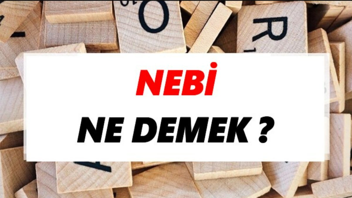 Nebi Ne Demek? - Bir İslam Terimi Hakkında Detaylı İnceleme