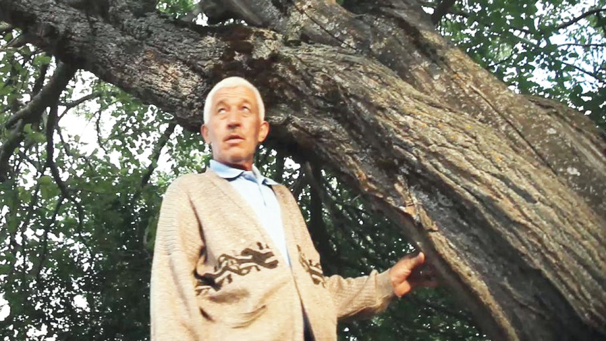 İpekyolu coğrafyası filmlerine sayılı gün