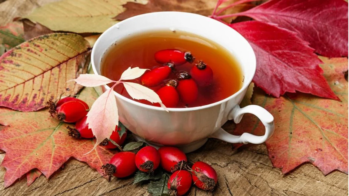 Kuşburnu çayının faydaları