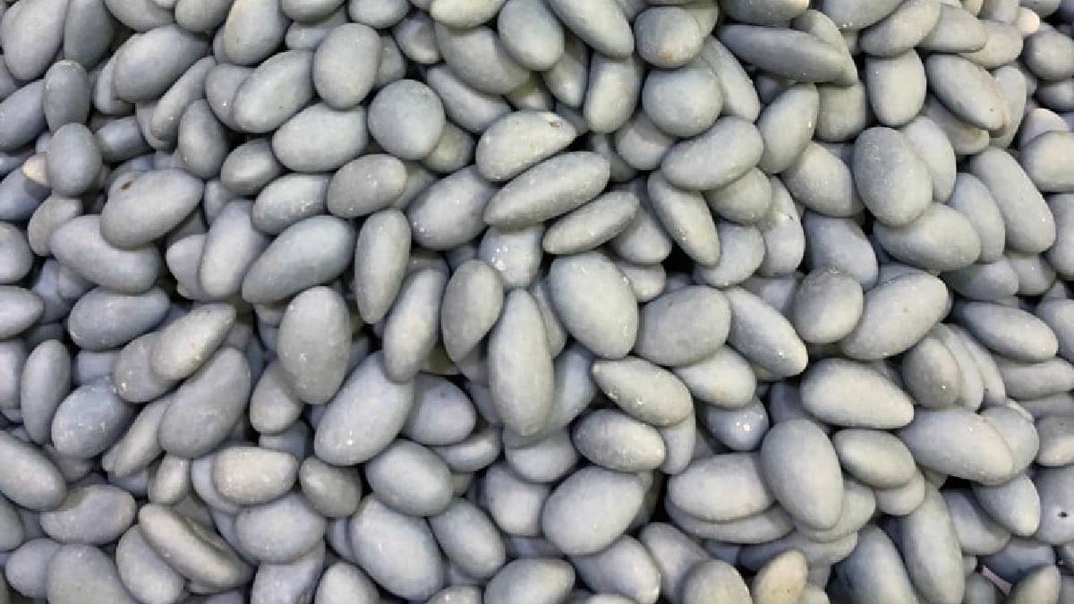 Görenler fasulye sanıyor ama bu Mardin'in meşhur şekeri! Öyle bir faydası var ki: Duyan avuç avuç yiyor