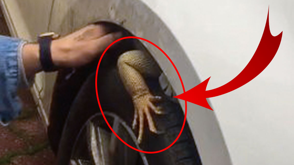 Otomobiline bineceği sırada tekerleğin üzerinde uzun tırnaklı el görünce şoke oldu! O anlar anbean kamerada